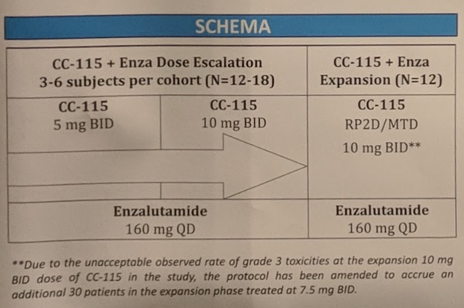 Rathkopf Study Schema