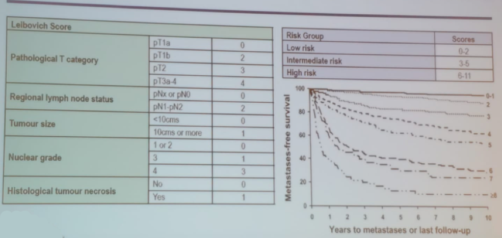 SIU19-renal.png