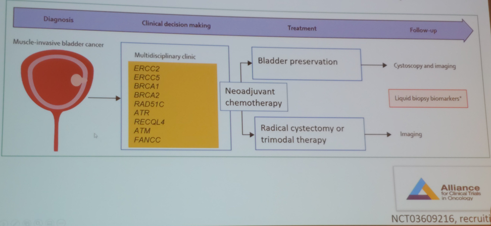 SIU19_DDR_panel.png