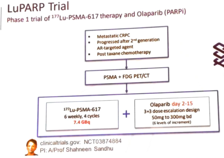 SIU19_LuPARP_trial.png