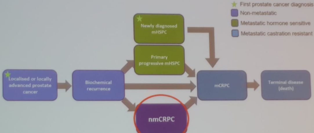 SIU19_nmCRPC.png