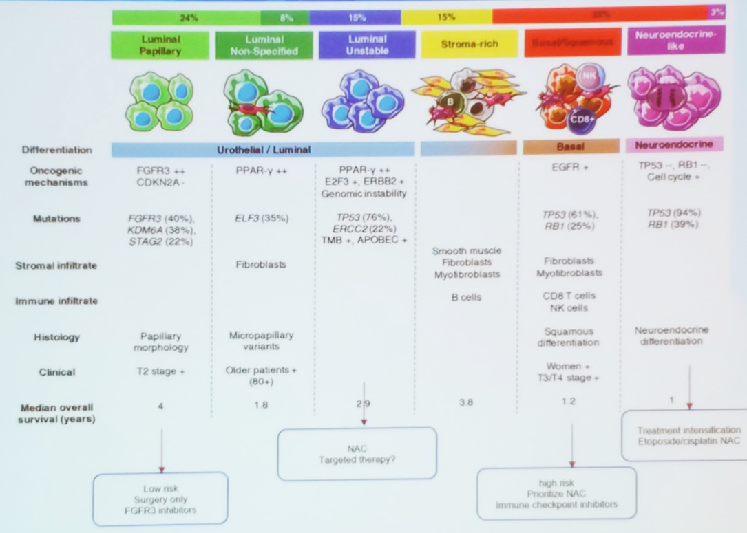 SIU2019_molecular_subtypes.png