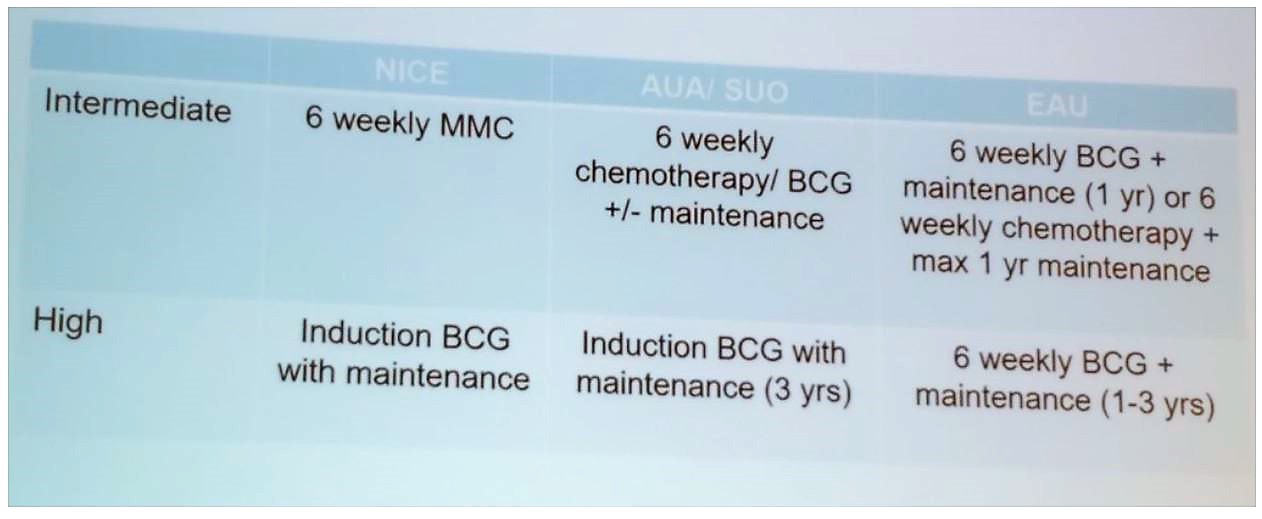 SIU 2019 Personalizing treatment of intravesical therapy