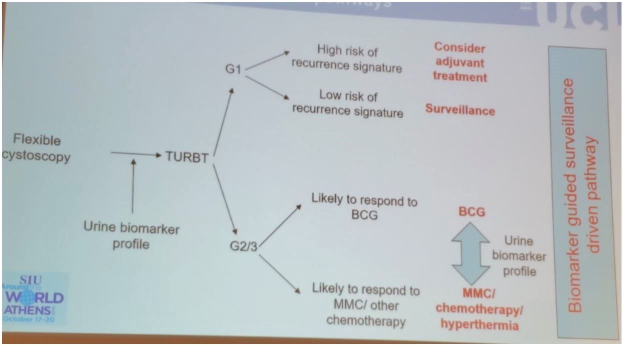 SIU 2019 adjuvant treatment pathways