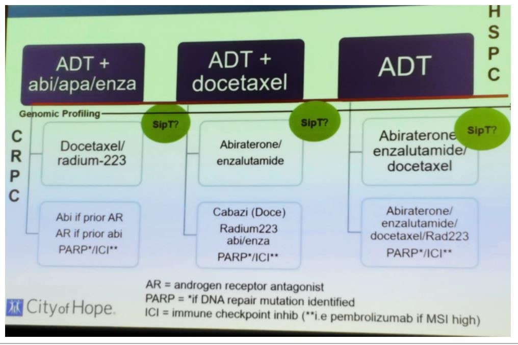 SNMMI 2019 Figure1 treatment paradigm for metastatic PCa