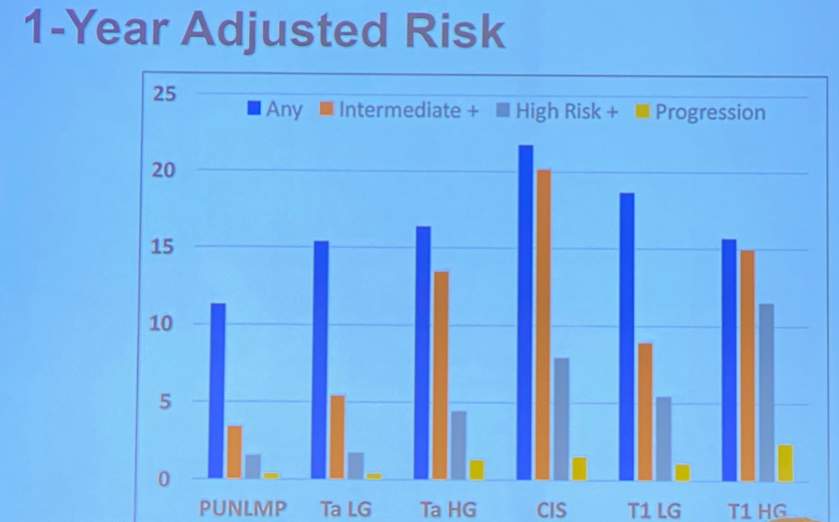 SUO19_1yr_risk.png