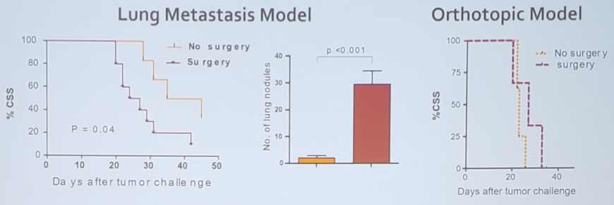 SUO19_bladder_cancer_model.png