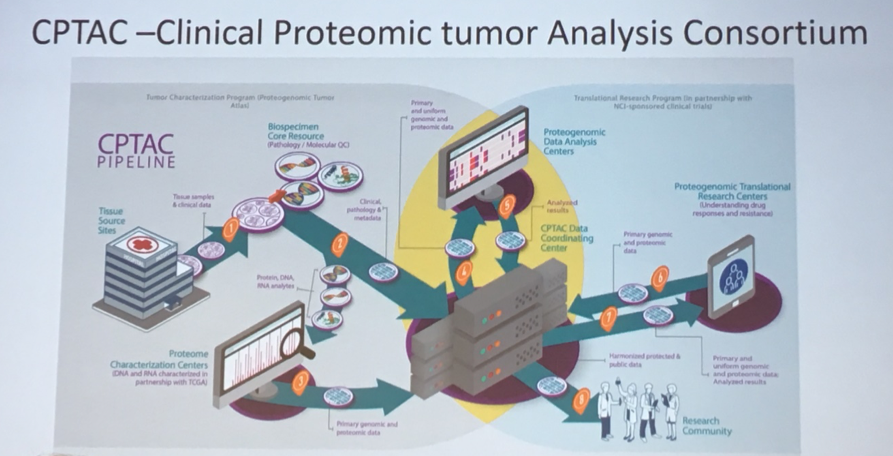 SUO2019_Lerner_Post-TCGA_12.png