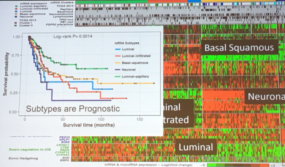 SUO2019_Lerner_Post-TCGA_9.png