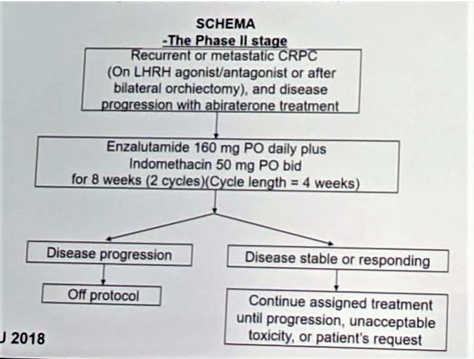 SUO 2018 schema phase II stage
