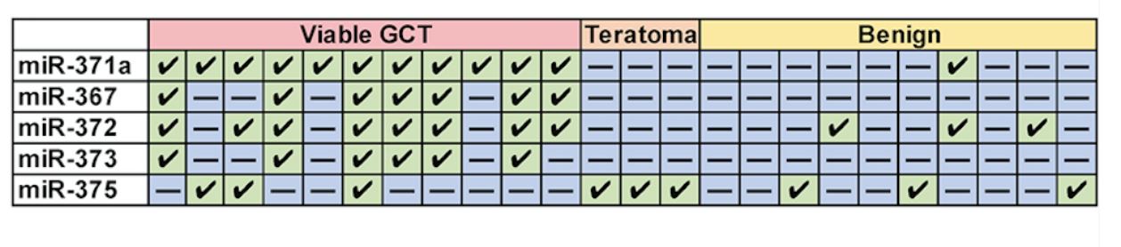 SUO 2019 serum miRNAs
