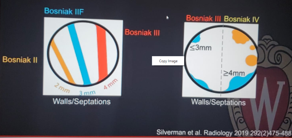 SUO_Bosniak_2019.png
