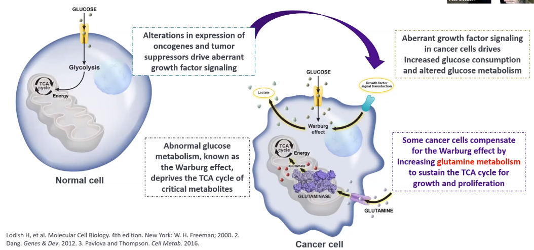 SUO_Dysregulated_metabolism.png
