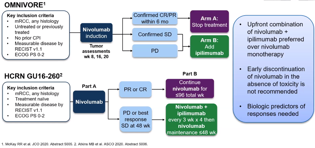 SUO__ipilimumab.png