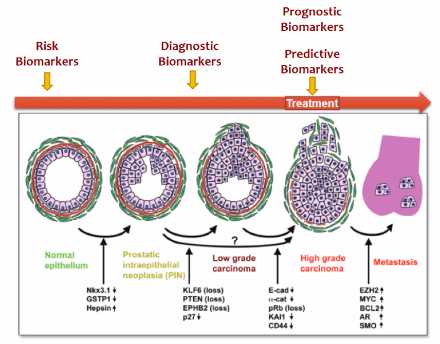 SUO_predictive_biomarkers.png