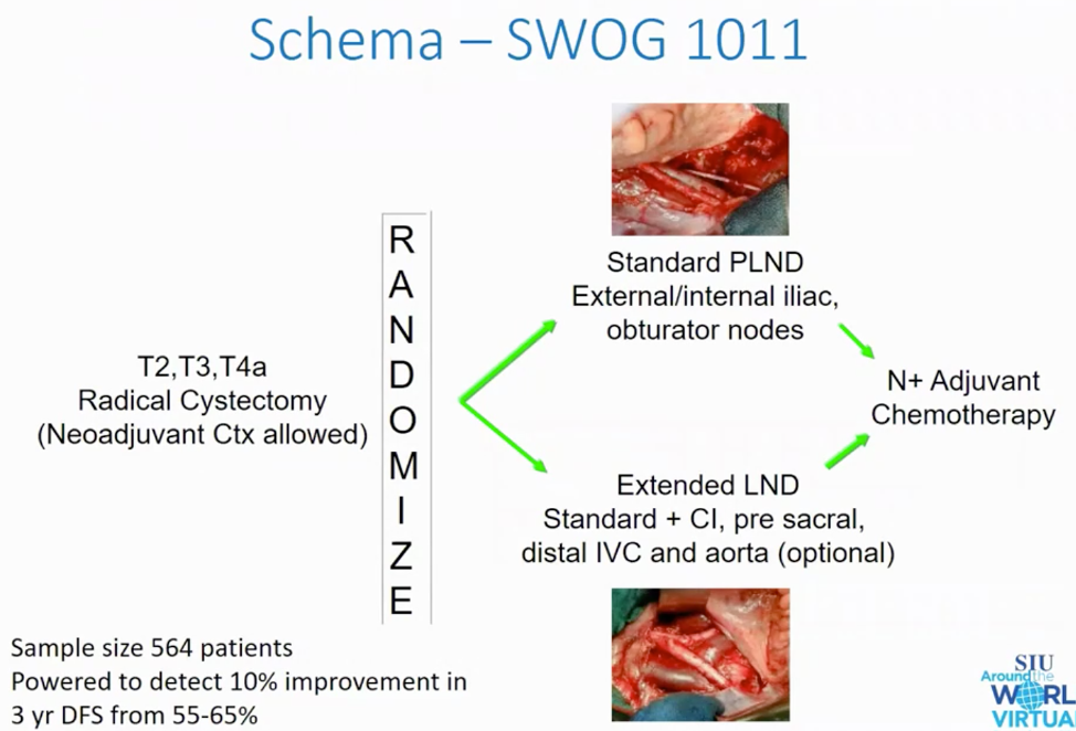 SWOG 1011 schema