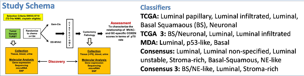 SWOG_StudySchema.png