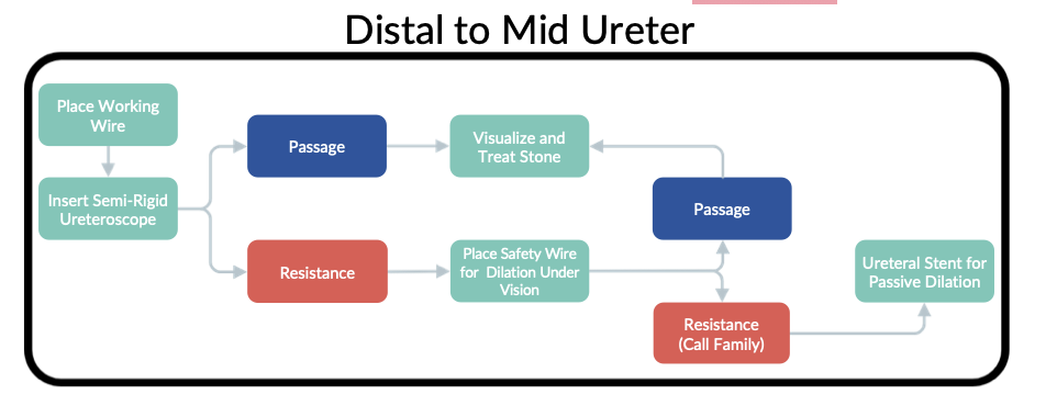 Distal to mid ureter