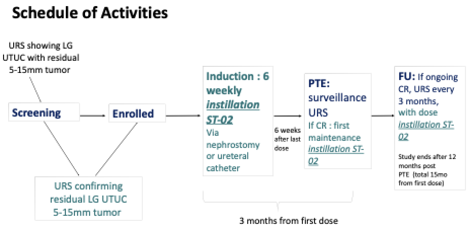 The trial design includes a screening phase where patients undergo ureteroscopy to confirm low-grade upper tract urothelial carcinoma (LG UTUC) with residual tumors ranging from 5-15 mm. Once enrolled, patients receive an induction of six weekly instillations of ST-02 via nephrostomy tube or ureteral catheter. If disease-free, they proceed to maintenance instillations of ST-02, followed by ureteroscopy every 3 months with a dose instillation of ST-02 until 12 months after the first surveillance.