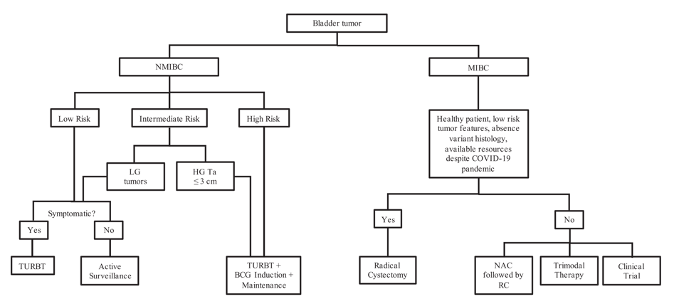 StratificationNon-MuscleInvasive_SUO2020.png