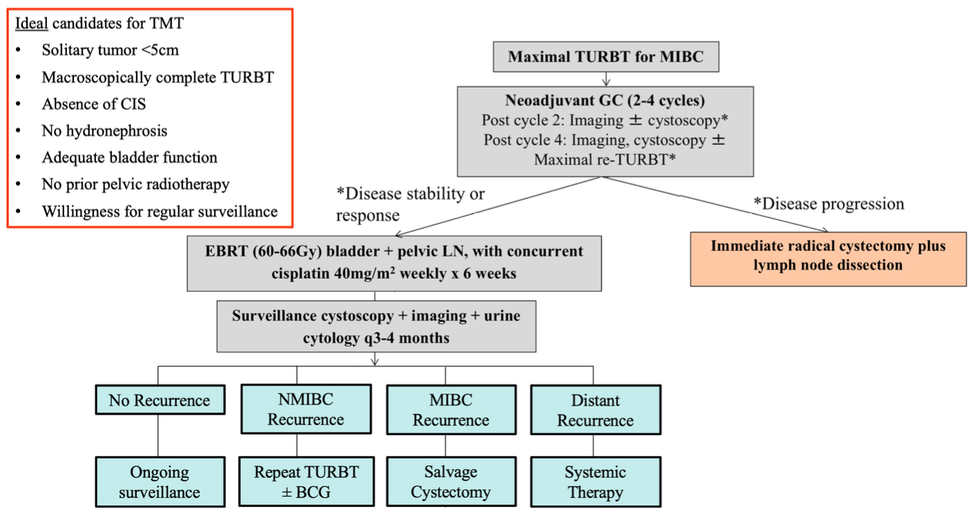 Trimodality Therapy at Princess Margaret Cancer Center