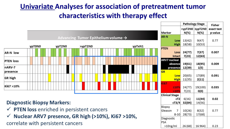 Univariate_ASCO2020.png