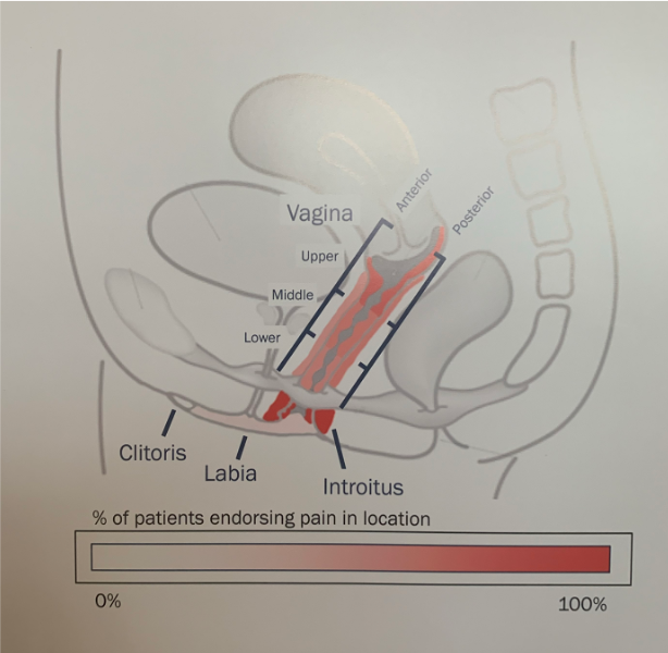 UroToday_1.png