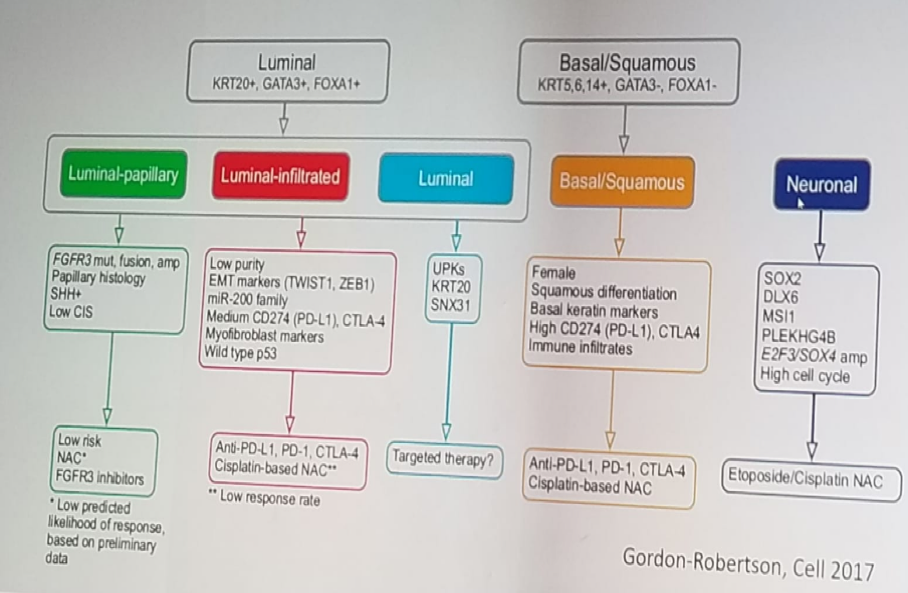 UroToday 3rd Bladder Congress Molecular characterization of muscle invasive bladder cancer