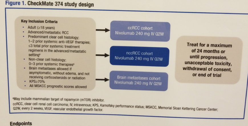 UroToday ASCOGU2019 CheckMate 374 Study Design 1