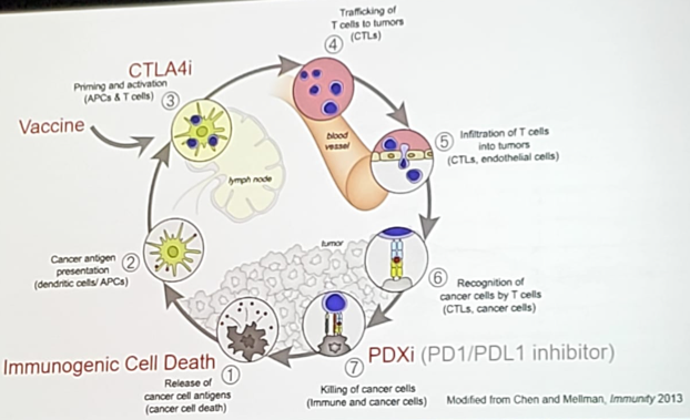 UroToday ASCOGU2019 Immunotherapy Across Genitourinary Malignancies 1 Gully