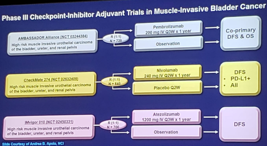 UroToday ASCOGU2019 Immunotherapy Across Genitourinary Malignancies 3 Gully
