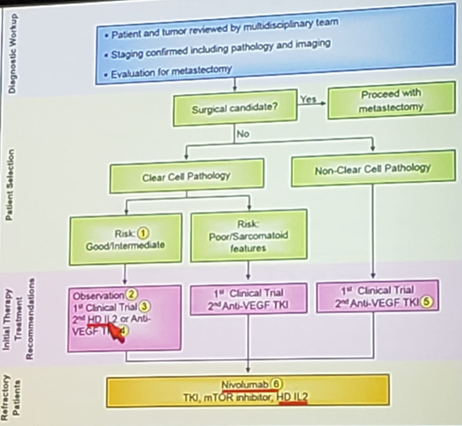 UroToday ASCOGU2019 Immunotherapy Across Genitourinary Malignancies 5 Gully