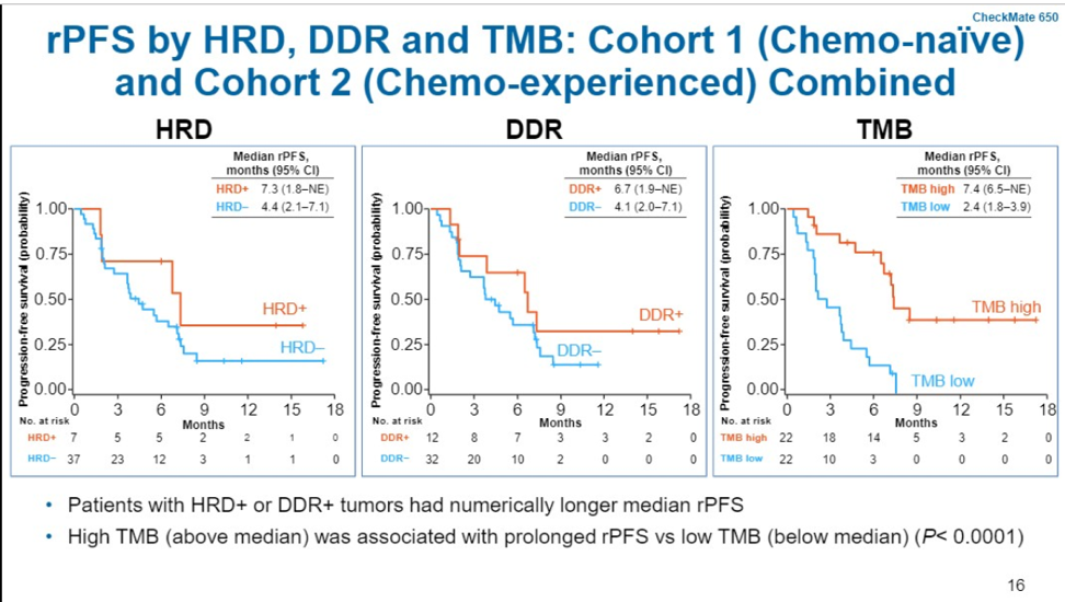 UroToday_ASCOGU2019_CheckMate 650_5.png