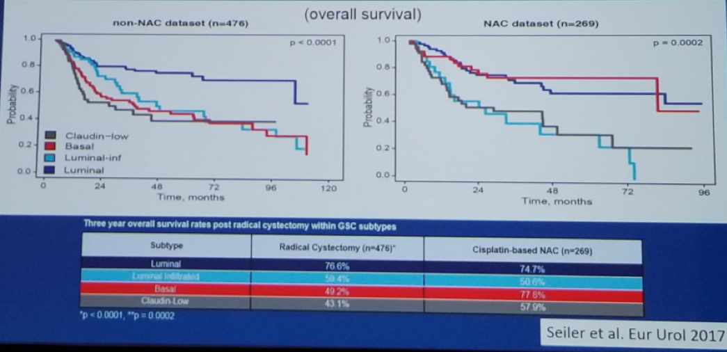 UroToday CUOS19 Basal Tumors Are the Most Sensitive to Neoadjuvant Chemotherapy