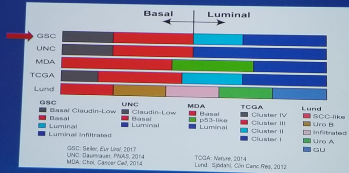 UroToday CUOS19 Bladder Cancer Molecular Subtypes