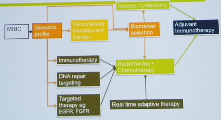 UroToday CUOS19 Huddarts vision for 2025