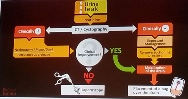 UroToday ERUS2018 Clinical algorithm on how to manage a urinary leak