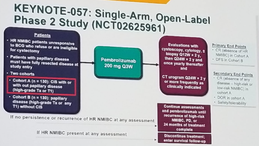 UroToday ESMO2018 Keynote057