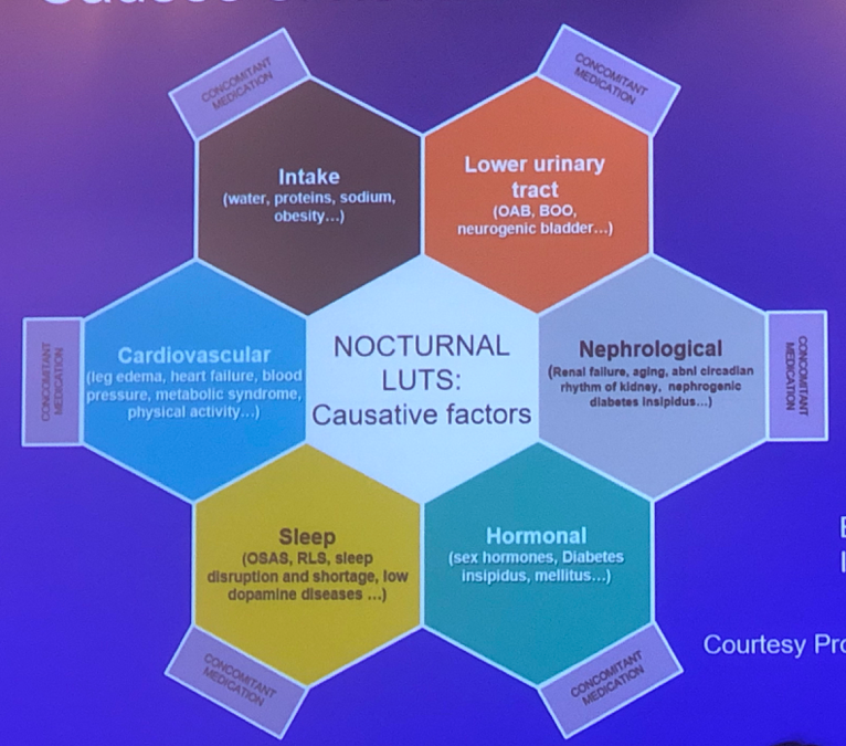 UroToday SUFU2019 Nocturia 1