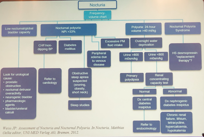 UroToday SUFU2019 Nocturia 4