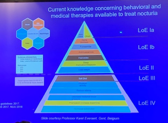 UroToday SUFU2019 Treating Nocturia 1