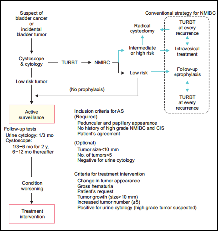 active_surveillance_needs_frequent_cystoscopy_cytology_and_excperience_cystoscopist.jpeg