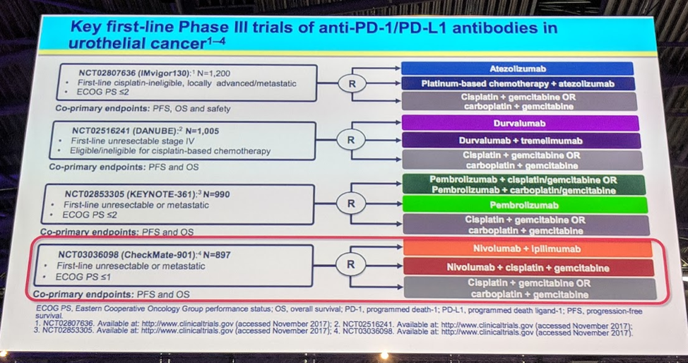 anti PD 1PD L1 antibodies UC