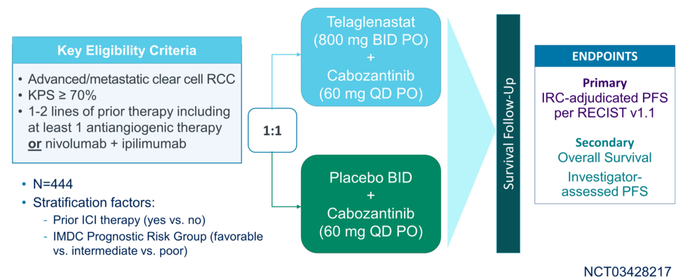 anti-angiogenic_therapy.png