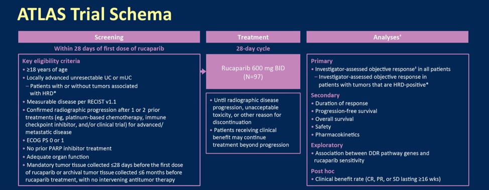 atlas trial schema