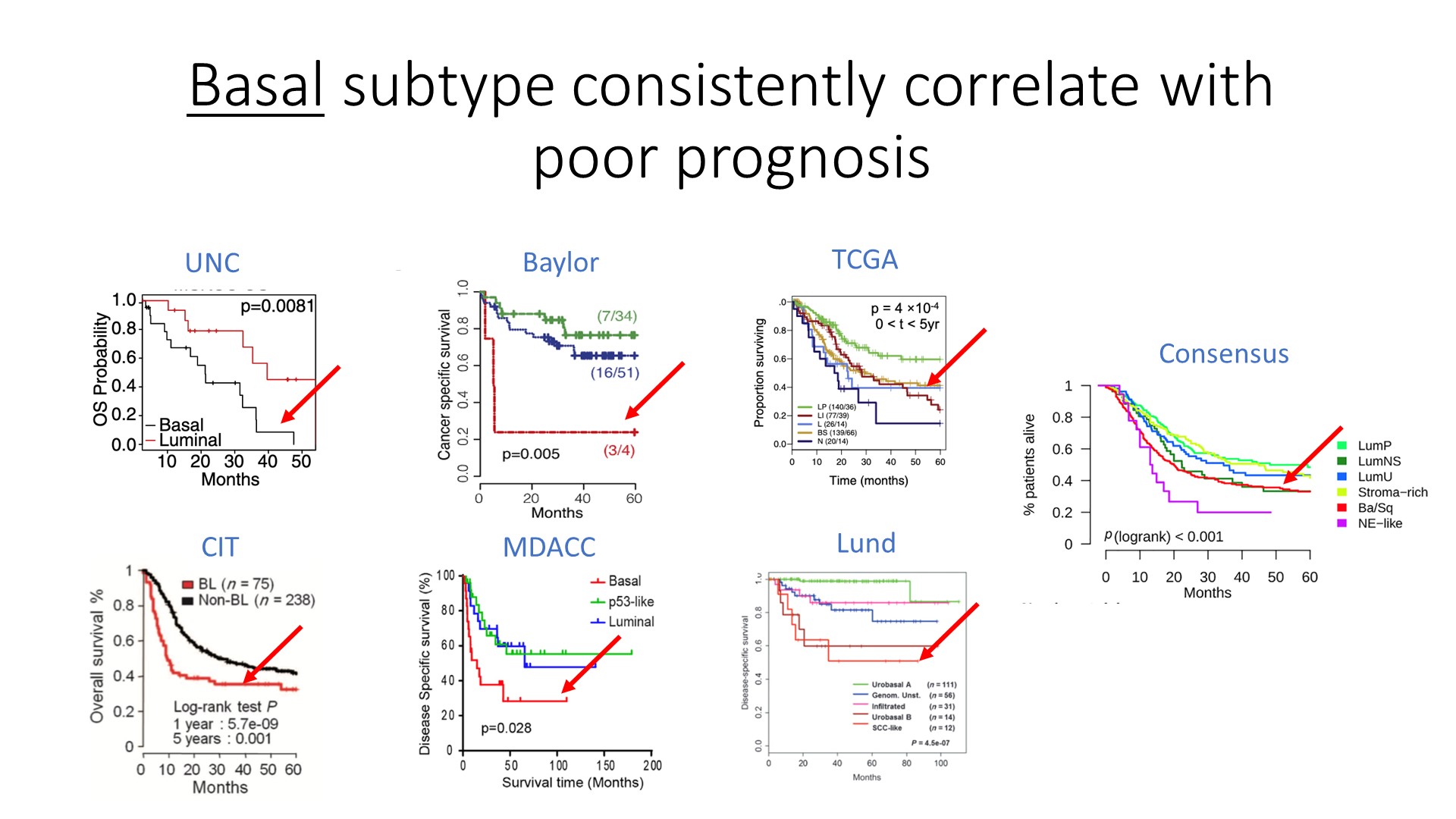 basal subtype