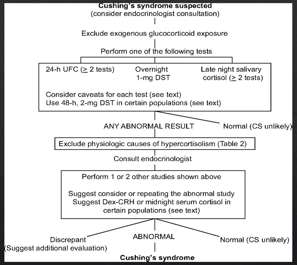 hypercortisolism-1.jpg