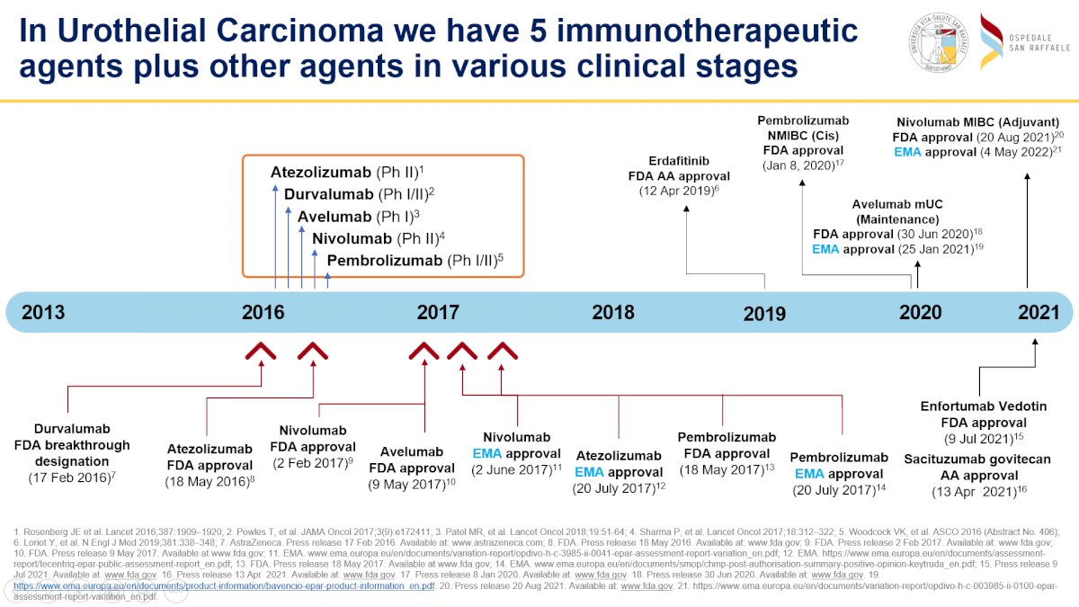 UC Immuno.jpg