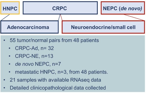  ASCO GU 2023 advanced prostate cancer.jpg