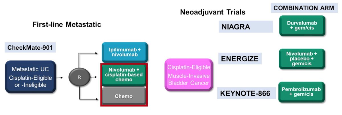neoadjuvant trials.jpg